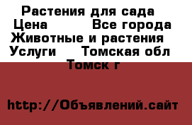 Растения для сада › Цена ­ 200 - Все города Животные и растения » Услуги   . Томская обл.,Томск г.